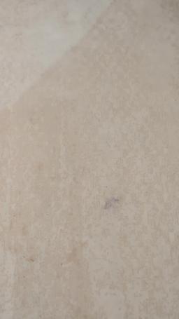 Her Baby’s Claimed by the Kingpin episode 28