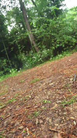 Eternal Dragon Emperor episode 56