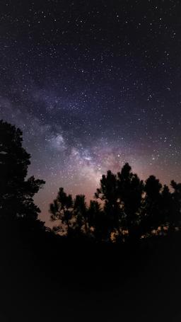 Lassoed by a Cowboy's Love episode 64