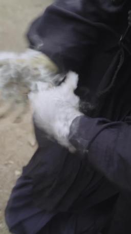 Eternal Dragon Emperor episode 62