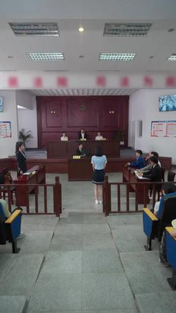 Rogue Lawyer episode 64