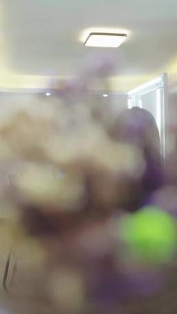 Ivy & Thorn: Ivy Never Fades (English-dubbed) episode 30