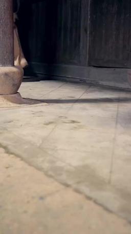 Survival Begins: I Own a System episode 30