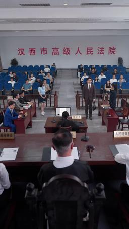 Rogue Lawyer episode 68