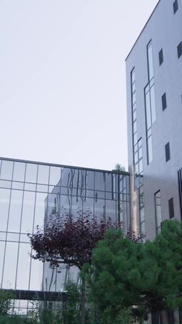 My Ex-Wife The Mafia Princess episode 31