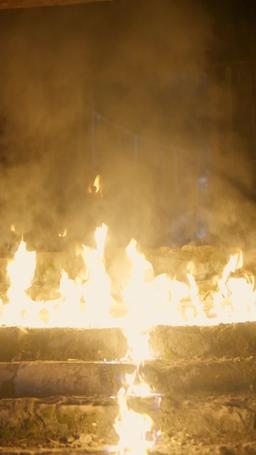 Reborn in Flames episode 35