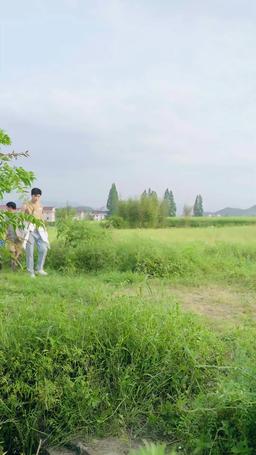 Country Billionaire's Wife episode 10