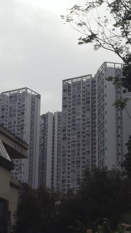 The Wife Isn't Me! episode 45