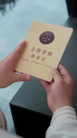 Rogue Lawyer episode 52