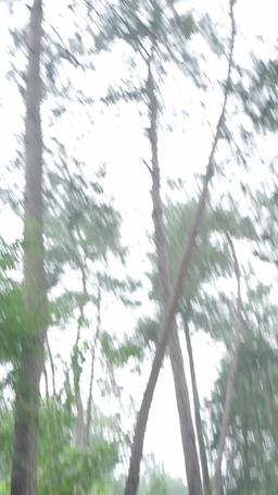 Eternal Dragon Emperor episode 54