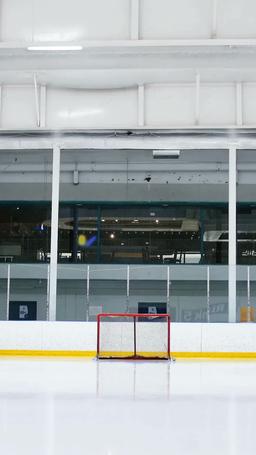 My Hockey Alpha episode 36