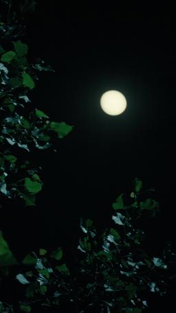 I'm Not Your Typical 70s Housewife episode 18