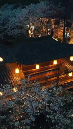 Destined Love episode 15