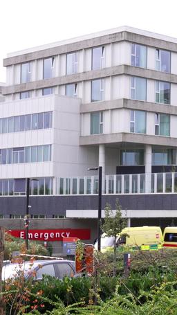 Mafia Boss Owns My Body episode 53