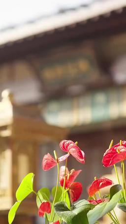 The Regretful Scholar's Pursuit episode 28