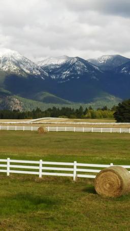 Yellowstone: King of Montana episode 1