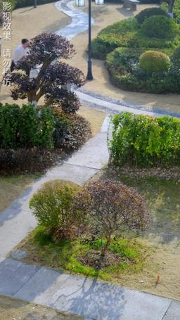 The Wife I Despised Is My First Love?! episode 51