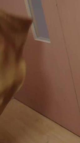 When We Parted, the World Went Still episode 9