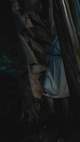 The Bride of the Wolf King episode 46