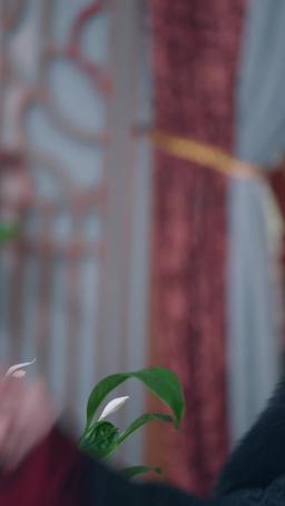 The Abandoned Heiress's Reverse Harem episode 29