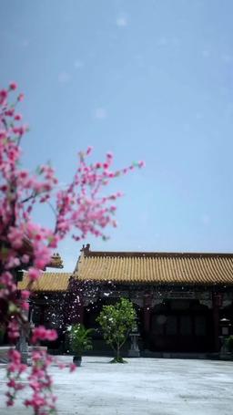 Revenge on the Emperor: Becoming the Empress episode 74