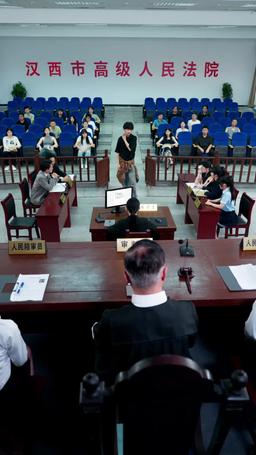 Rogue Lawyer episode 9