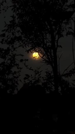 Win Their Hearts, Forge Your Fate episode 43