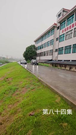 The Martial Healer's Journey to Love episode 84