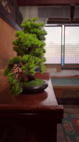 Reborn Bride: Saving the Crown Prince episode 45