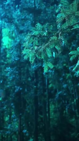 The Regretful Scholar's Pursuit episode 1