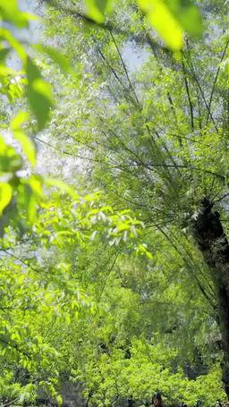 Survival Begins: I Own a System episode 37