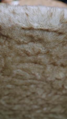 Reborn in Flames episode 14