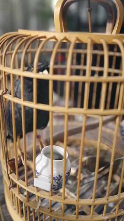 Survival Begins: I Own a System episode 43