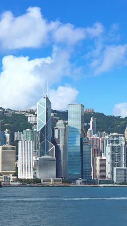 Rogue Lawyer episode 42