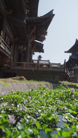 Eternal Dragon Emperor episode 45