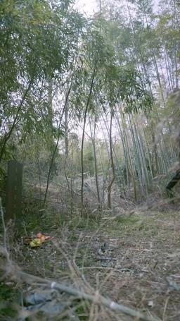 From Ex-Con to Cultivator episode 28