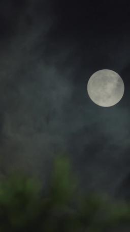 Love at First Shot episode 52