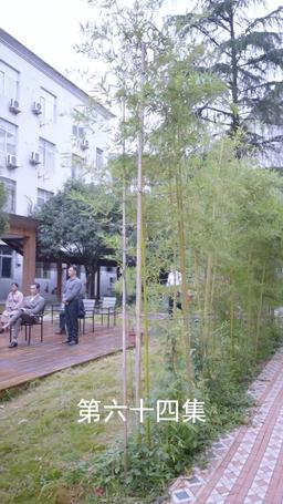 The Scorned Groom's Revenge episode 64