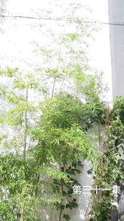 The Martial Healer's Journey to Love episode 31