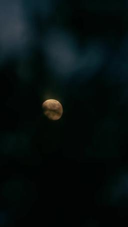 Daddy Forgot, but Mommy Remembers episode 33