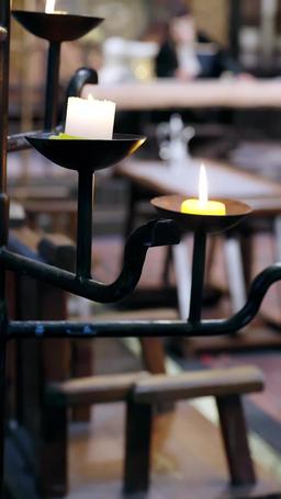 Reborn in Flames episode 7