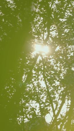 Married To A Stranger episode 20