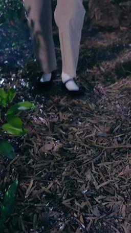 Country Billionaire's Wife episode 50