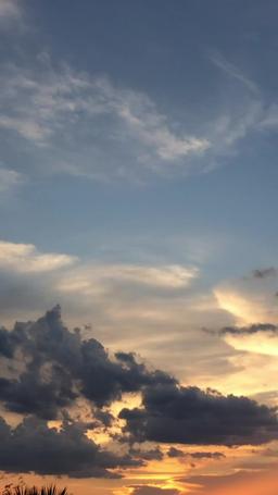 After the Divorce, She Takes It All episode 63