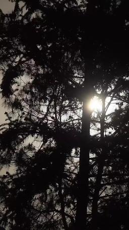 The Regretful Scholar's Pursuit episode 18