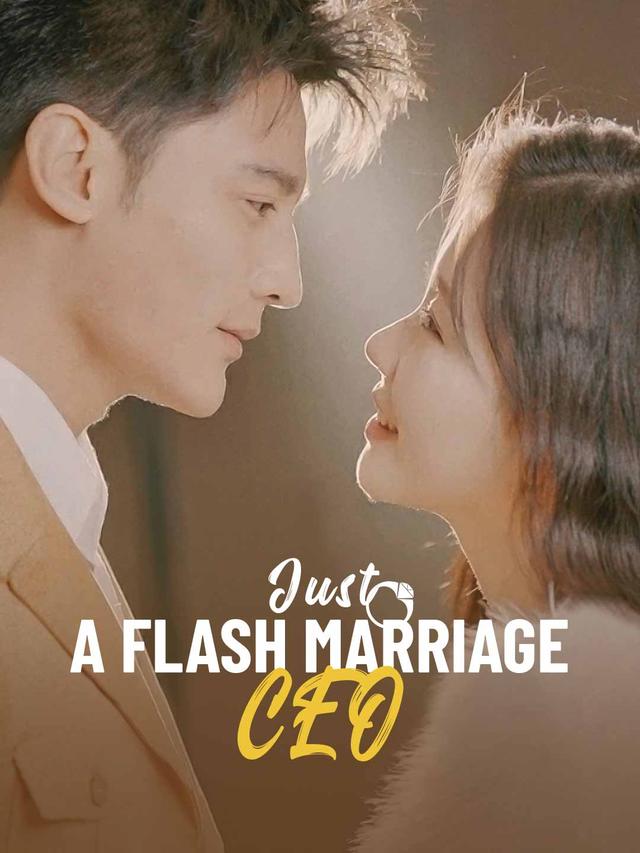 Just A Flash Marriage, CEO
